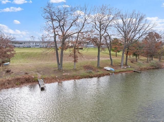 5980 Alan Dr Unit 6, Brighton, MI 48116 - water view
