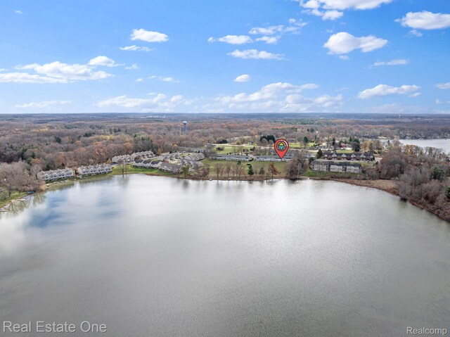 5980 Alan Dr Unit 6, Brighton, MI 48116 - bird's eye view of a nearby body of water and a forest