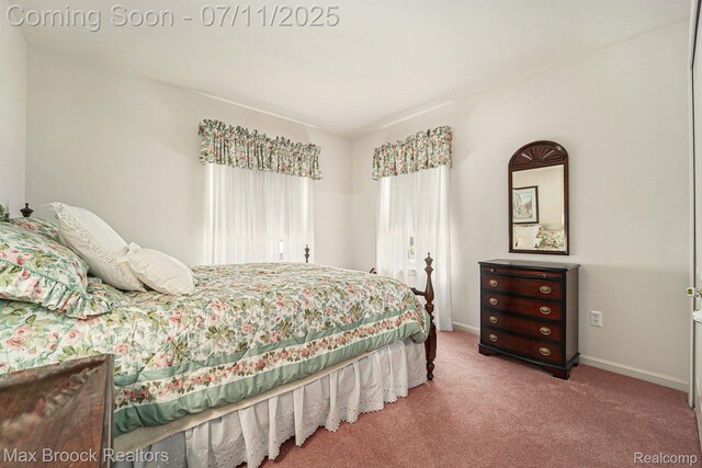 648SHADYMAPLE Shady Maple Dr Unit 16, Wixom, MI 48393 - bedroom with carpet floors and baseboards