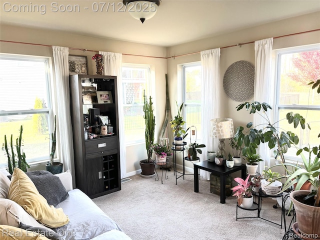 750 Dewars St, Howell, MI 48843 - living room with carpet flooring and plenty of natural light