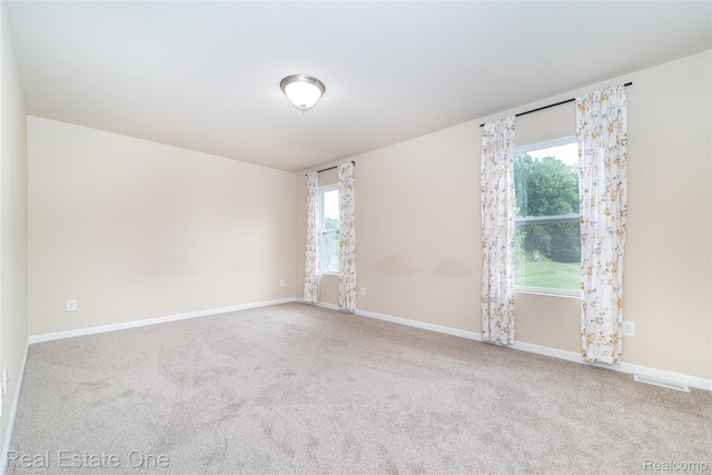 750 Dewars St, Howell, MI 48843 - unfurnished room featuring plenty of natural light and carpet floors