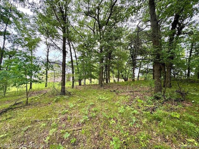 460 Lake Manitou Trl, Oxford, MI 48371 - view of local wilderness