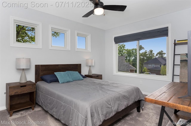 460 Lake Manitou Trl, Oxford, MI 48371 - bedroom with carpet flooring, multiple windows, and ceiling fan