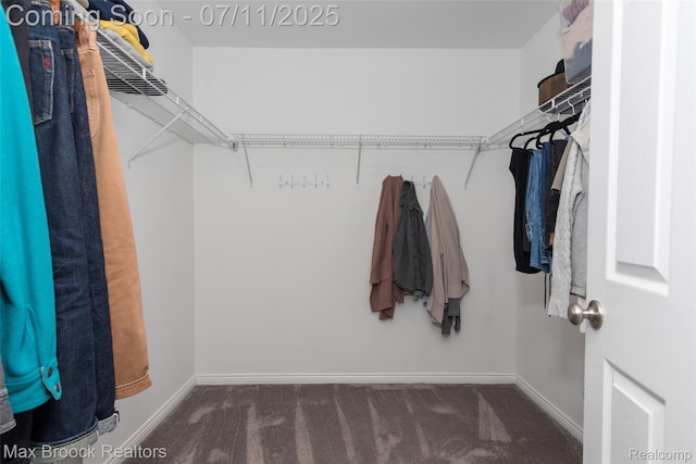 460 Lake Manitou Trl, Oxford, MI 48371 - spacious closet with carpet