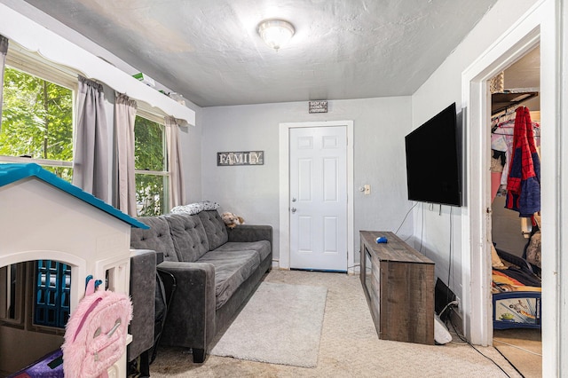 1638 Cherry St, Niles, MI 49120 - living room with carpet flooring
