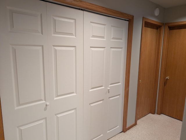 149 Selkirk Ct Unit A, Kalamazoo, MI 49006 - view of closet