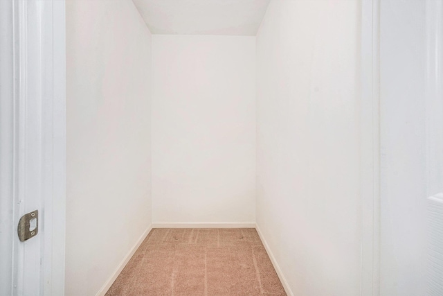 3132 Primrose Ln, Ypsilanti, MI 48197 - spacious closet with light carpet