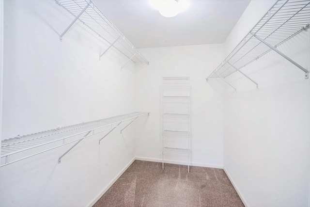 3132 Primrose Ln, Ypsilanti, MI 48197 - walk in closet featuring carpet