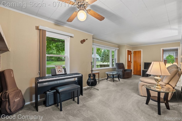 265 S Grey Rd, Auburn Hills, MI 48326 - photo 5