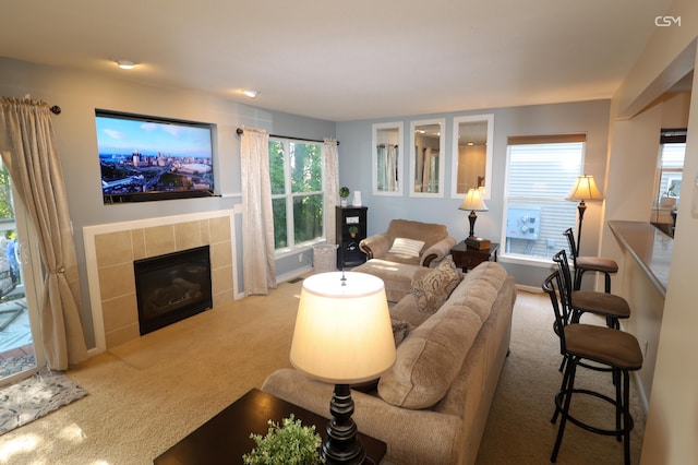 217 Old Creek Dr, Saline, MI 48176 - photo 13