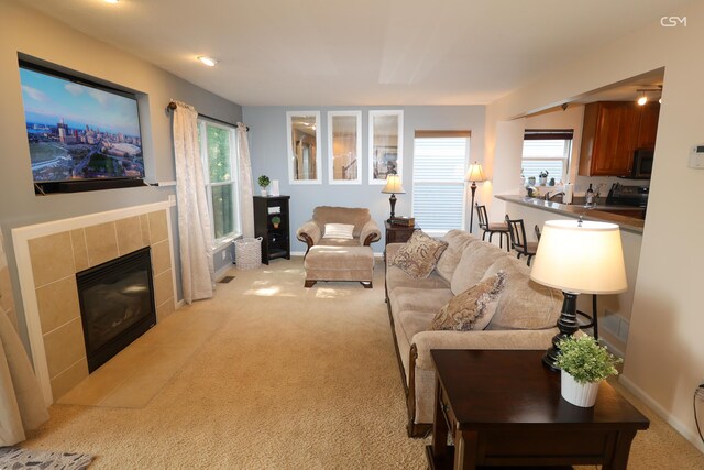 217 Old Creek Dr, Saline, MI 48176 - photo 14