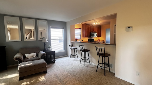 217 Old Creek Dr, Saline, MI 48176 - photo 12