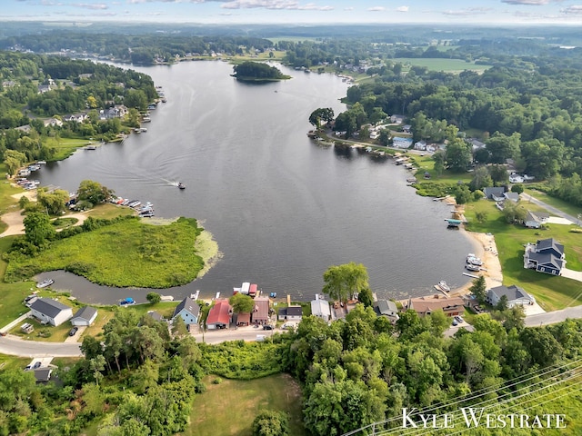 12230 Mac Dr NE, Belding, MI 48809 - bird's eye view of a large body of water