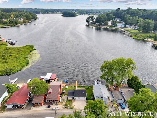 12230 Mac Dr NE, Belding, MI 48809 - bird's eye view of a large body of water