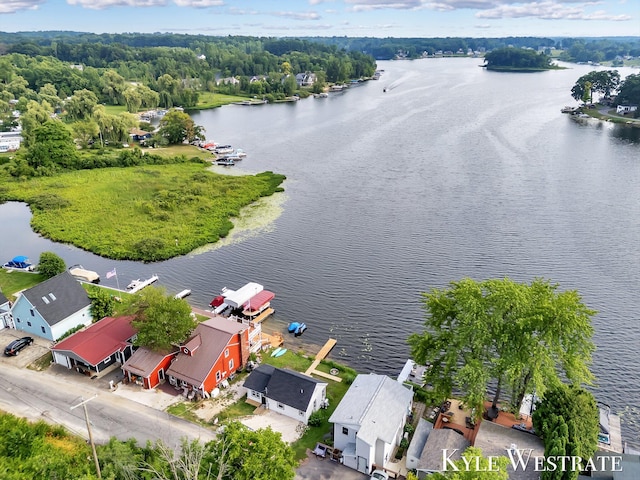 12230 Mac Dr NE, Belding, MI 48809 - aerial view of a large body of water