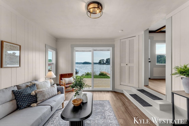 12230 Mac Dr NE, Belding, MI 48809 - living room featuring light wood-style flooring and a water view