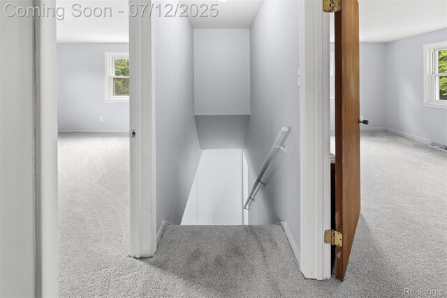 18411 Foch St, Livonia, MI 48152 - photo 19