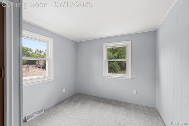 18411 Foch St, Livonia, MI 48152 - photo 27
