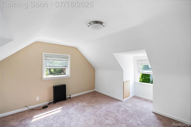 15910 Beech Daly Rd, Redford, MI 48239 - photo 11