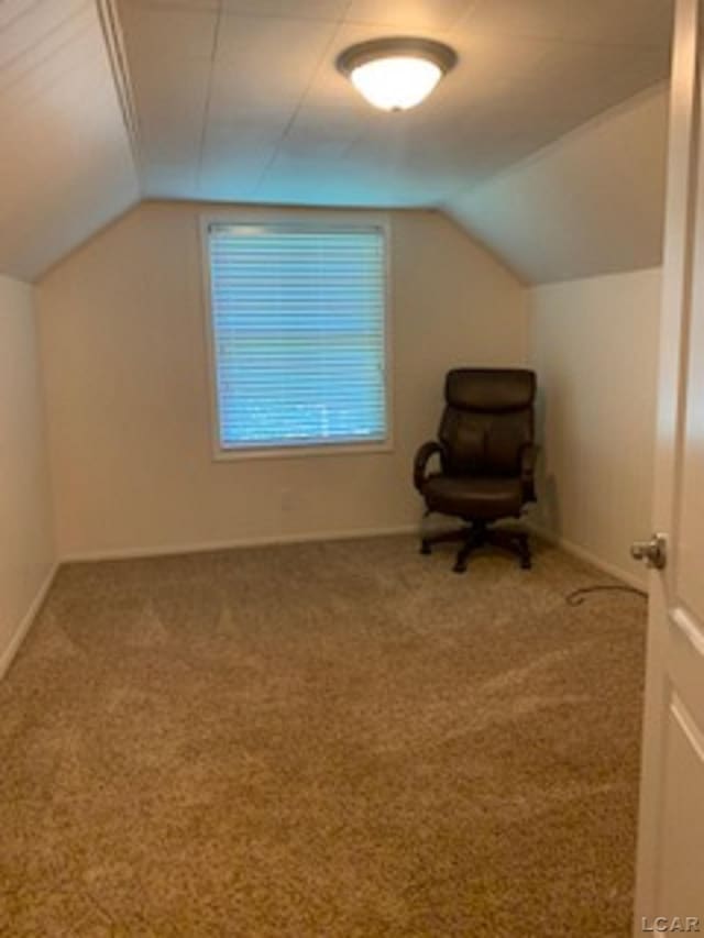 609 Orchard Ln, Tecumseh, MI 49286 - bonus room featuring lofted ceiling and carpet