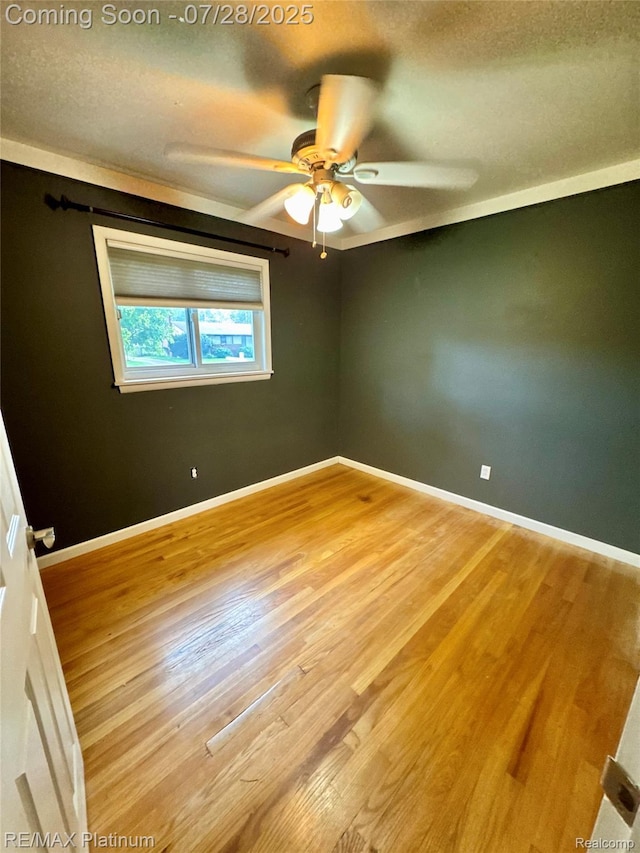 31605 Saint Martins St, Livonia, MI 48152 - photo 16