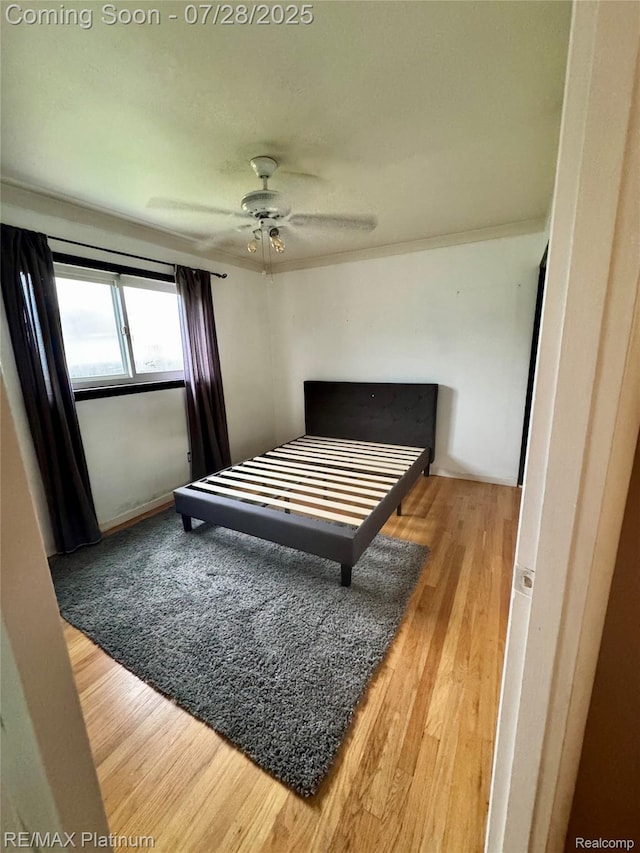 31605 Saint Martins St, Livonia, MI 48152 - photo 20