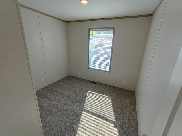 1204 Carlton Ct, Plainwell, MI 49080 - photo 11