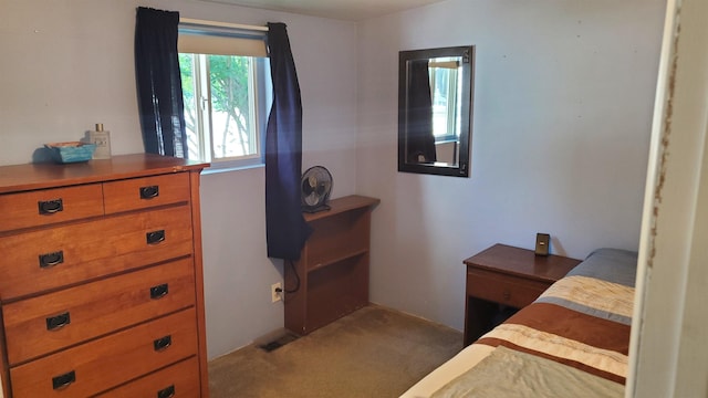 1725 County Road 633, Grawn, MI 49637 - photo 23