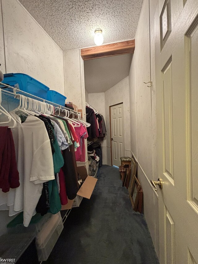 2500 Mann Rd, Clarkston, MI 48356 - walk in closet with carpet flooring