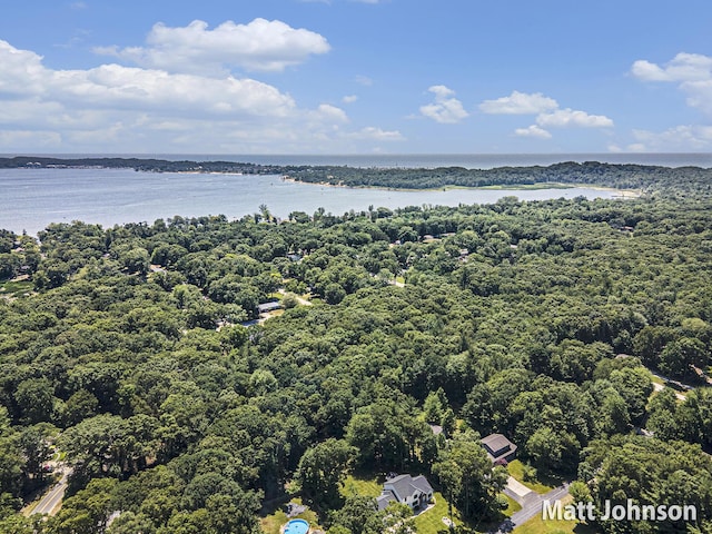 2771 Deer Run Rd, Muskegon, MI 49445 - drone / aerial view of a large body of water and a forest