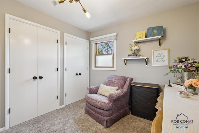 2641 Garfield Ave NW, Grand Rapids, MI 49544 - sitting room with carpet flooring
