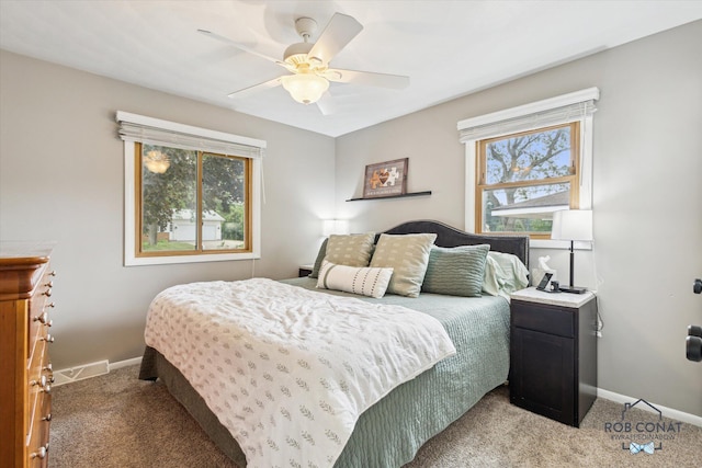 2641 Garfield Ave NW, Grand Rapids, MI 49544 - bedroom featuring light carpet, multiple windows, and a ceiling fan