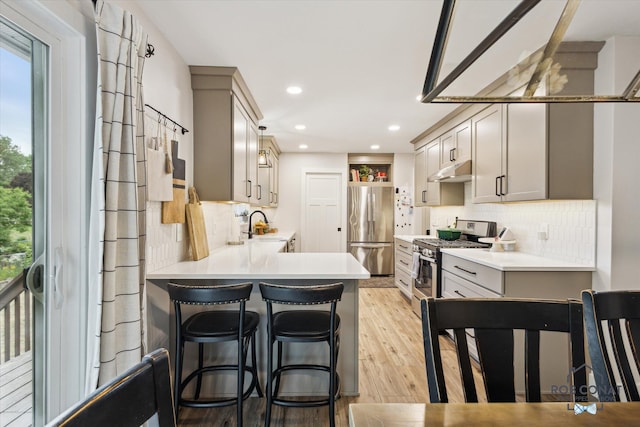 2641 Garfield Ave NW, Grand Rapids, MI 49544 - kitchen featuring stainless steel appliances, under cabinet range hood, a peninsula, light wood-type flooring, and backsplash