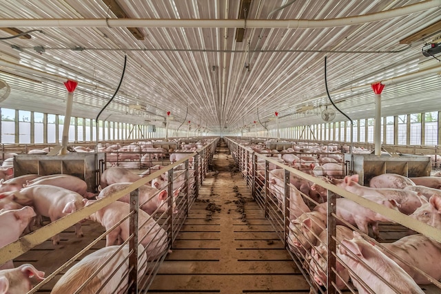 810 Newton Rd, Coldwater, MI 49036 - view of horse barn
