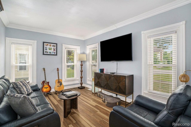 124 N Line St, Chesaning, MI 48616 - living room featuring ornamental molding, wood finished floors, and plenty of natural light