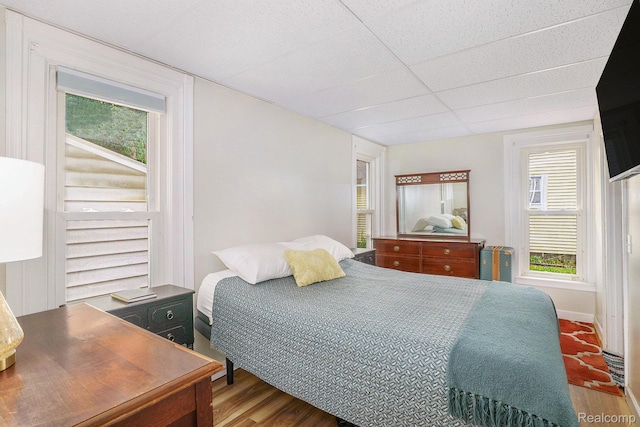 124 N Line St, Chesaning, MI 48616 - bedroom featuring wood finished floors and multiple windows