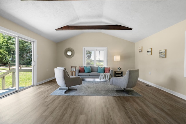 5743 107th Ave, Pullman, MI 49450 - living room featuring wood finished floors, plenty of natural light, lofted ceiling, and a textured ceiling