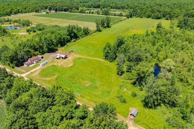 5743 107th Ave, Pullman, MI 49450 - aerial view of sparsely populated area with a nearby body of water