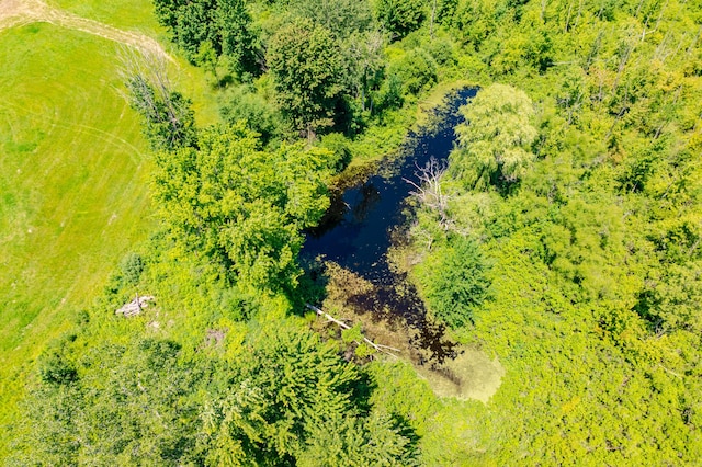 5743 107th Ave, Pullman, MI 49450 - aerial view
