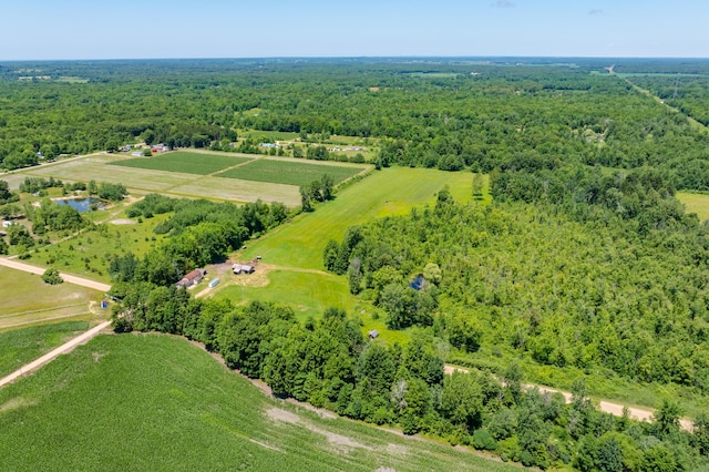 5743 107th Ave, Pullman, MI 49450 - bird's eye view of a forest