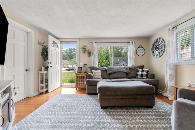34066 Orangelawn St, Livonia, MI 48150 - living area featuring healthy amount of natural light, light wood-style flooring, and a textured ceiling