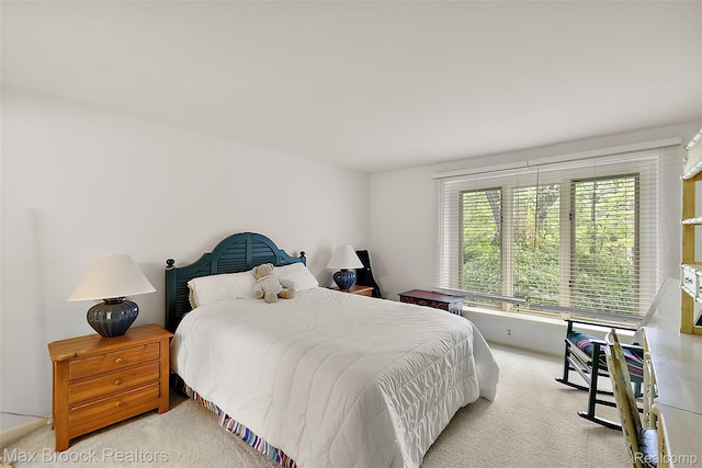 3350 Franklin Rd, Bloomfield Hills, MI 48302 - view of carpeted bedroom