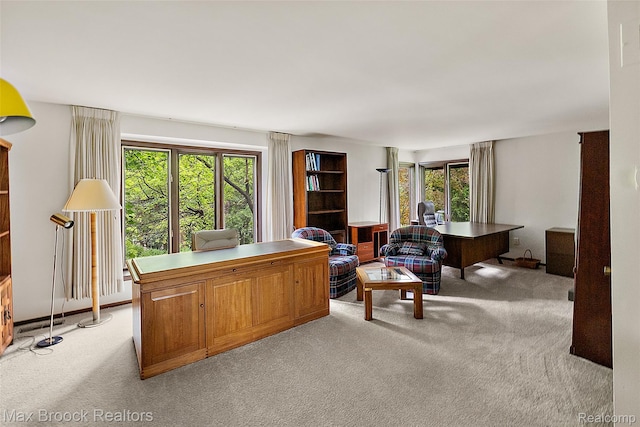 3350 Franklin Rd, Bloomfield Hills, MI 48302 - office space featuring light carpet and healthy amount of natural light