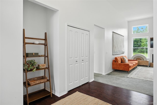 27245 Ritter Blvd, Flat Rock, MI 48134 - entrance foyer featuring wood finished floors and baseboards