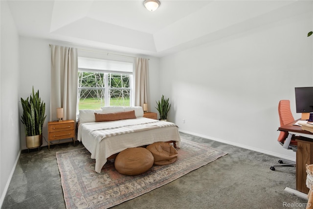 27245 Ritter Blvd, Flat Rock, MI 48134 - bedroom featuring a tray ceiling, carpet flooring, and an office area