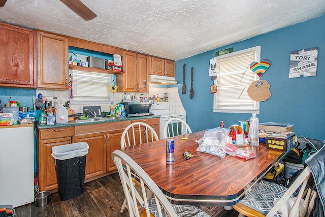 1638 Superior St, Niles, MI 49120 - dining area featuring dark wood-style flooring, plenty of natural light, and a textured ceiling