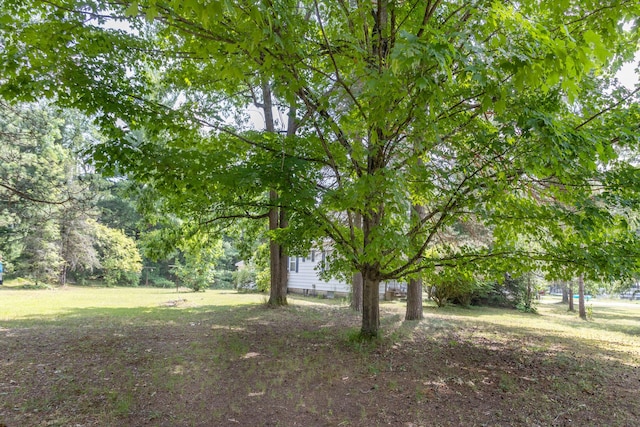 425 6th St, Baldwin, MI 49304 - view of yard