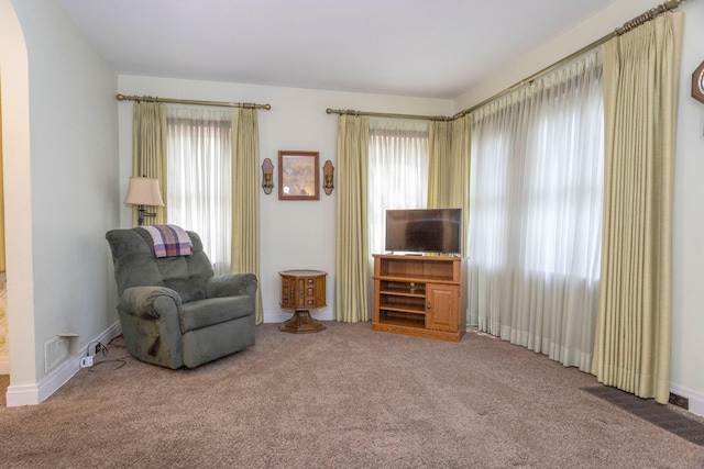 425 6th St, Baldwin, MI 49304 - sitting room featuring carpet flooring and healthy amount of natural light