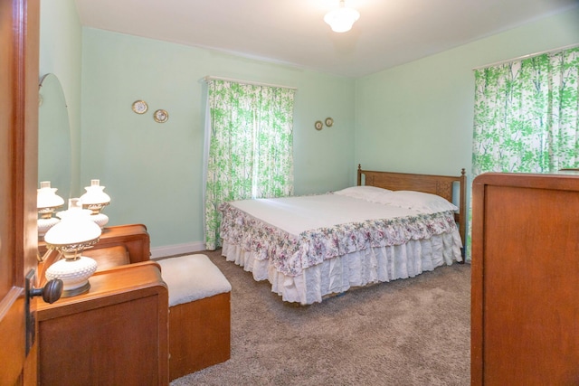 425 6th St, Baldwin, MI 49304 - bedroom with carpet