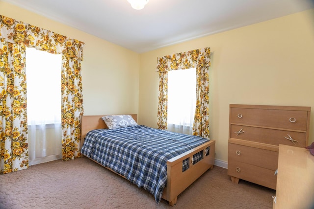 425 6th St, Baldwin, MI 49304 - view of carpeted bedroom